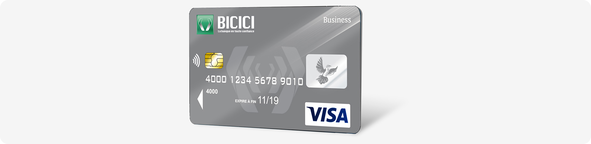 Carte Bleue